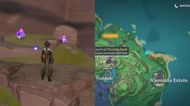 Amethyst Lumps location on the Narukami Island